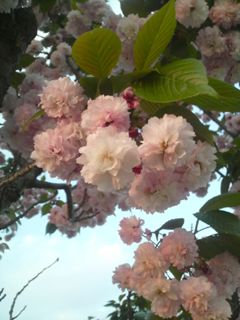 090411-3.jpg