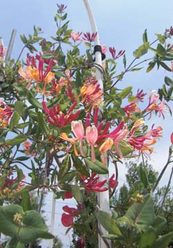 090502-1.jpg