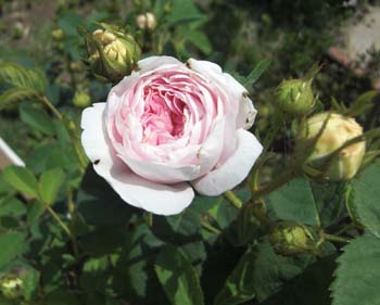 090502-2.jpg