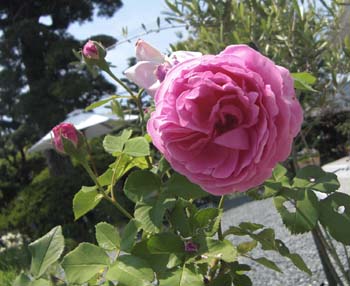 090502-3.jpg
