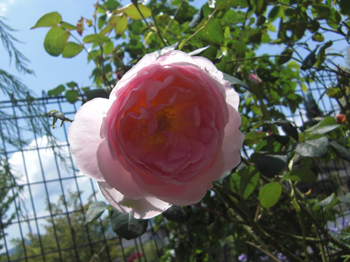 090505-1.jpg