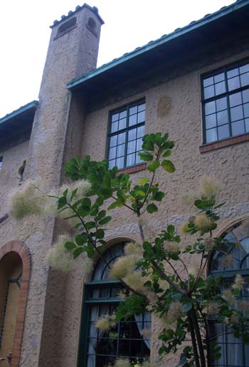 090616-1.jpg