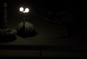 100113-1.jpg