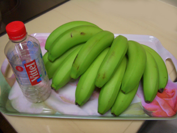100811-2.jpg