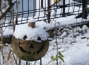 110101-2.gif