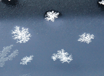 110109-1.gif