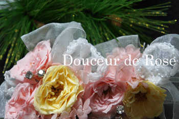 110101-1.gif