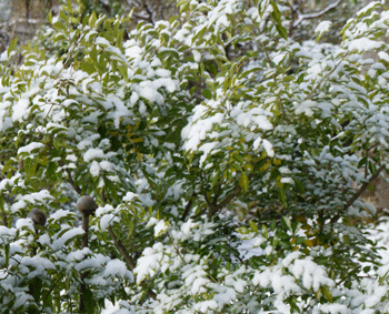 110101-3.gif